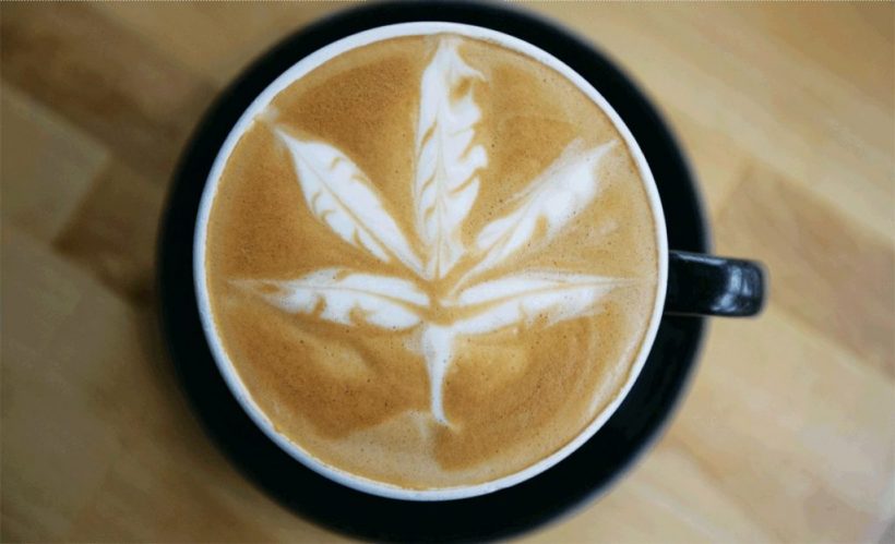 CBD kaffe latte